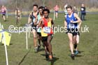 Mens under-20s 2016 Inter Counties Cross Country Champs. and Cross Challenge Final, Cofton Park, Birmingham. Photo: David T. Hewitson/Sports for All Pics
